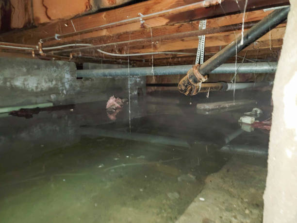 Best Flood damage cleanup  in Rossville, GA