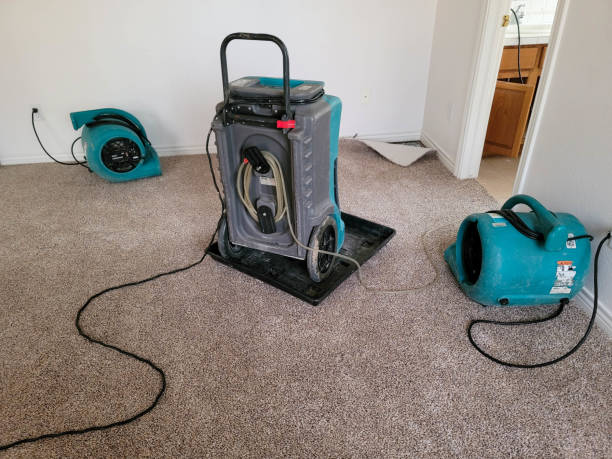 Best Ceiling water damage repair  in Rossville, GA