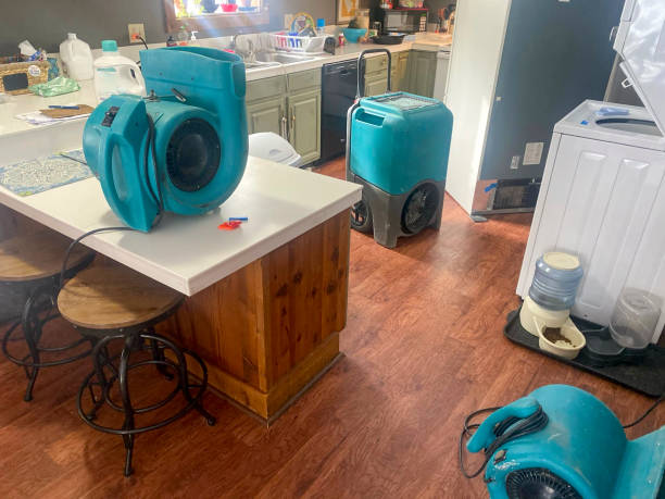 Best Local water damage restoration  in Rossville, GA