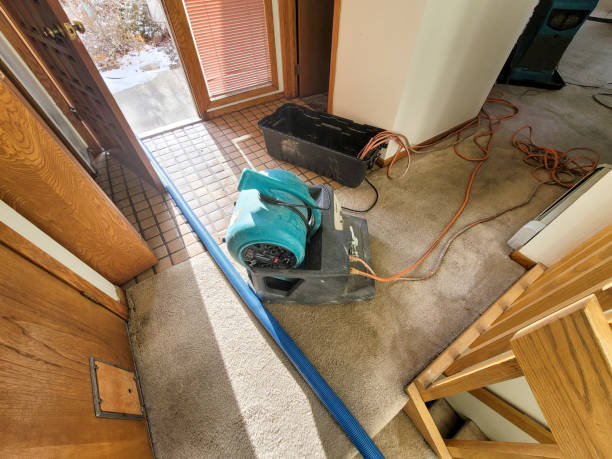 Best Residential water damage restoration  in Rossville, GA