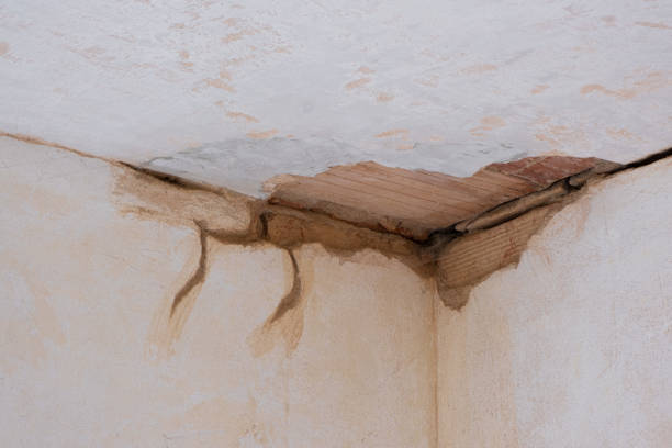 Best Emergency water damage restoration  in Rossville, GA