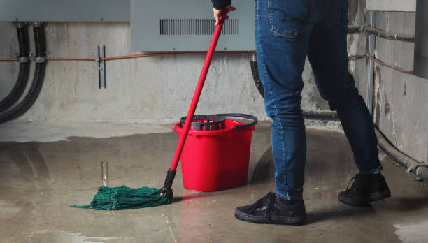 Best Water damage restoration near me  in Rossville, GA