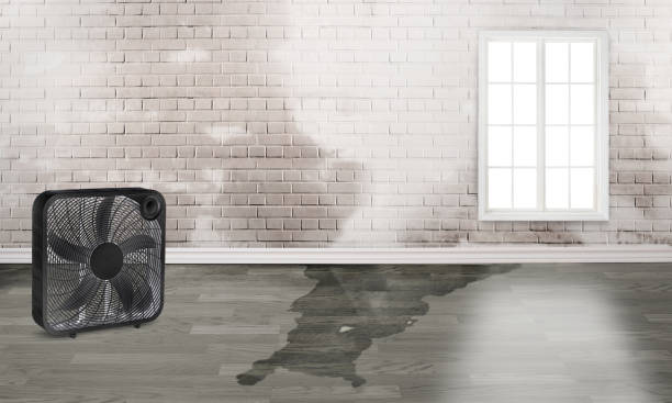 Best Water damage restoration near me  in Rossville, GA