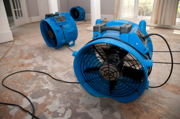 Best Water damage restoration process  in Rossville, GA