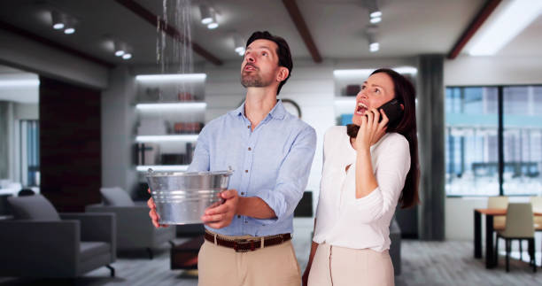 Best Mold removal after water damage  in Rossville, GA