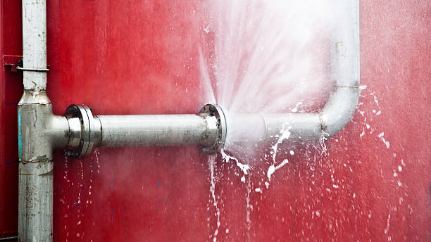 Best Water damage mitigation services  in Rossville, GA