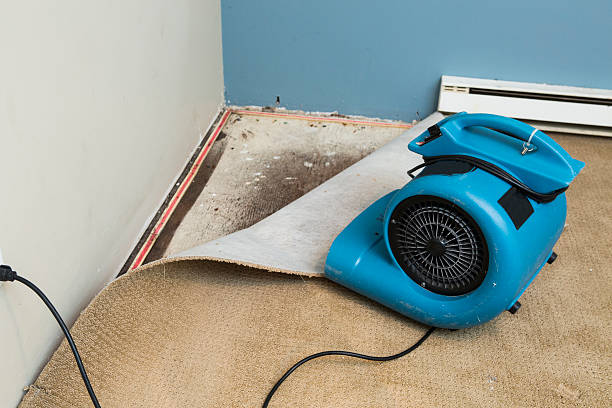Best Basement water damage restoration  in Rossville, GA